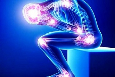 دیسک کمر کجاست؟